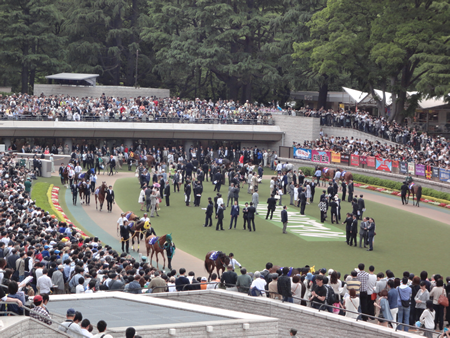 馬広場