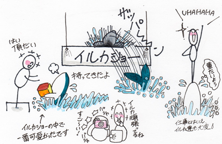 イルカショー