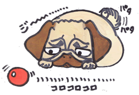 コロコロ.GIF コロコロ.GIF
