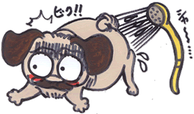 テン丸「シャ～」.gif