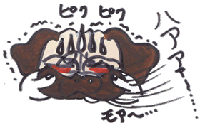テン丸ハア～.gif