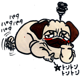 テン丸トントン.gif テン丸トントン.gif