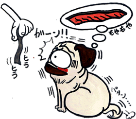 テン丸しゃけトバ.gif テン丸しゃけトバ.gif