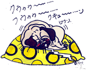 いいじゃんか.gif