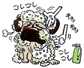お風呂.gif