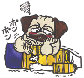 介護犬.gif
