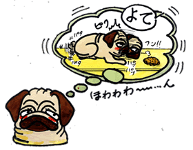 よて！.gif