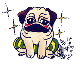キラキラ.gif