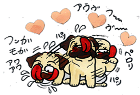 レベル５.gif