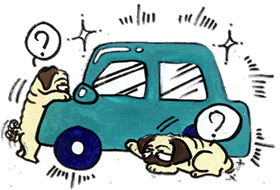 ピカピカの車.gif