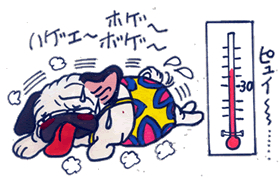 寒暖計.gif