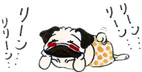風流.gif