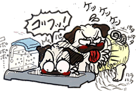 ケッケッ！.gif