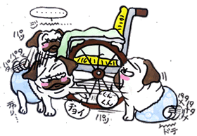 2006.03.gif
