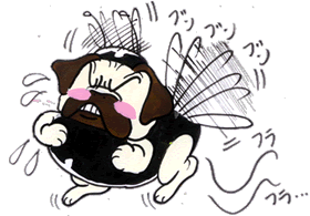 太っちょ蜂.gif