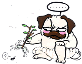 毛虫.gif 毛虫.gif