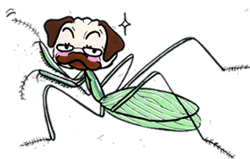 カマキリ.gif カマキリ.gif