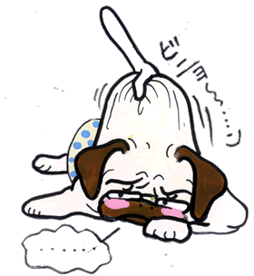 首の肉000.gif 首の肉000.gif