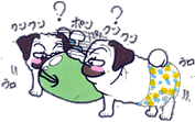 冬瓜1.gif 冬瓜1.gif