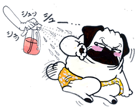 シュッ！.gif