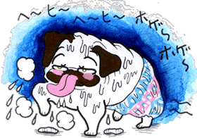 img003.gif img003.gif