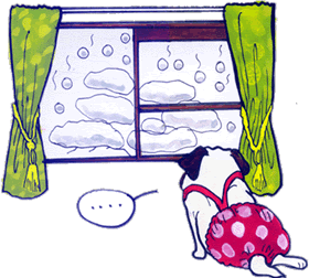 大雪.gif