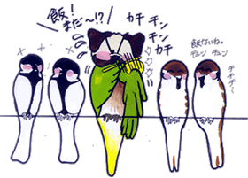 飯出せ～！.gif