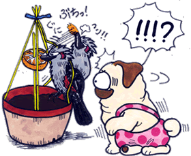 お主、なかなか･･･.gif