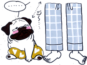 また父ちゃんと留守番？.gif