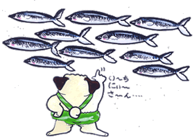サバの読みすぎ.gif