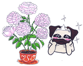 バラが咲いた.gif