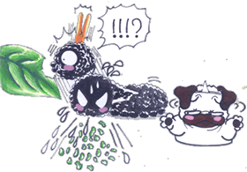自力で・・・.gif