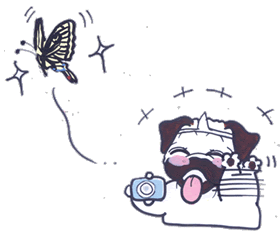変身.gif