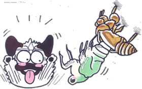 昆虫ショー.gif