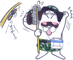 昆虫採集.gif