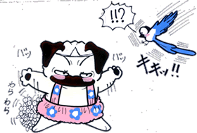 子カマキリを食わせねェぜ!.gif 子カマキリを食わせねェぜ!.gif