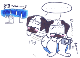 ハッキリ、クッキリ.gif