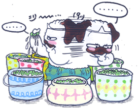 自然淘汰.gif